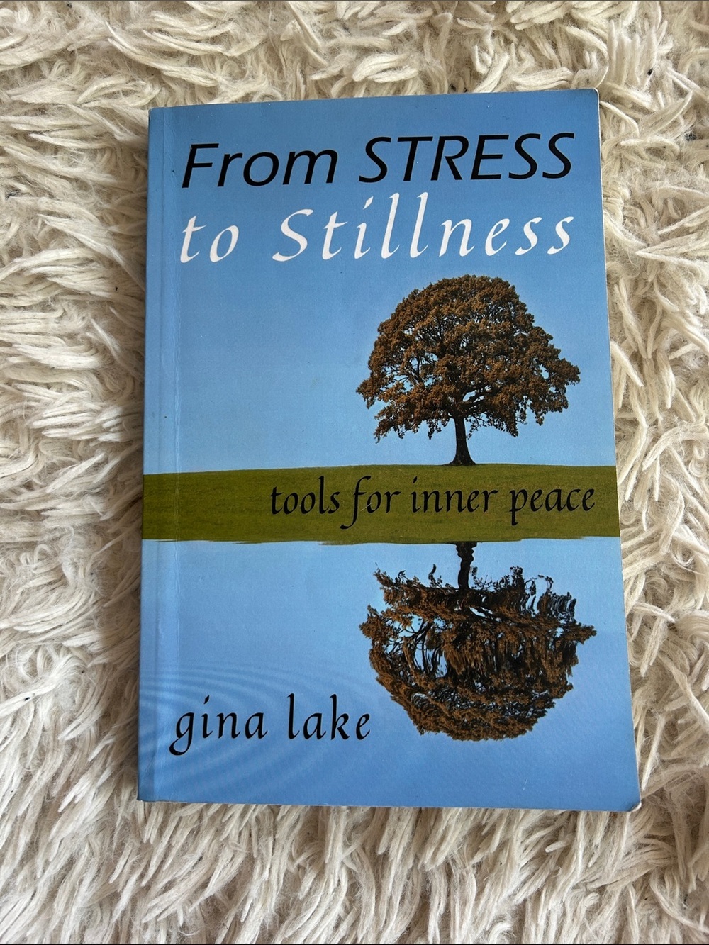 "From Stress to Stillness" by Gina Lake